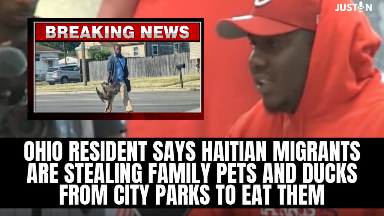 Haitians immigrants are eating pets out of town pond.. America turning into third world?